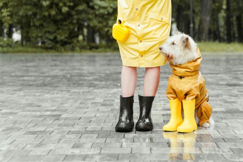 promenade sous la pluie