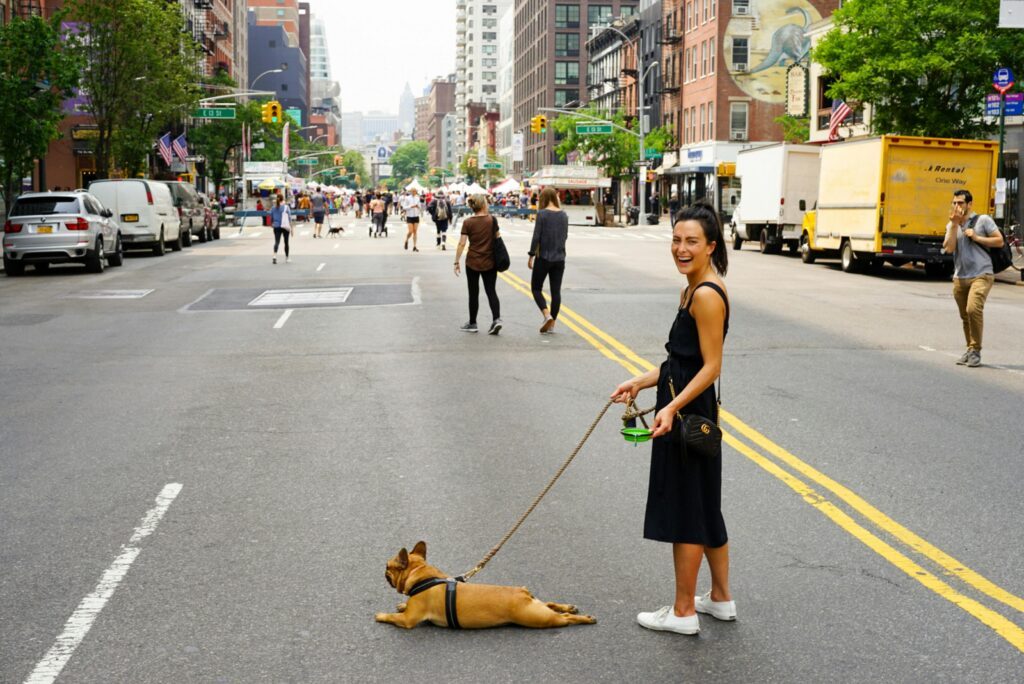 votre chien refuse de marcher