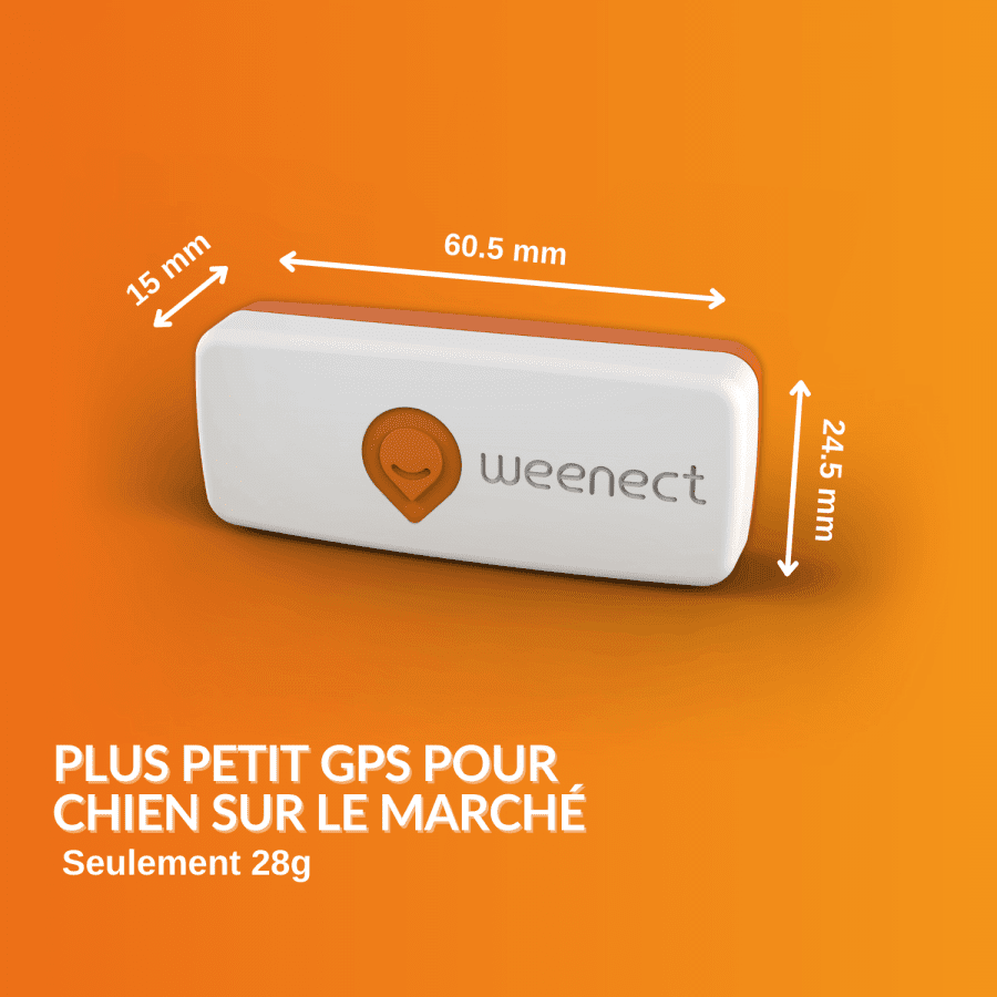 dimensions composition du weenect xs